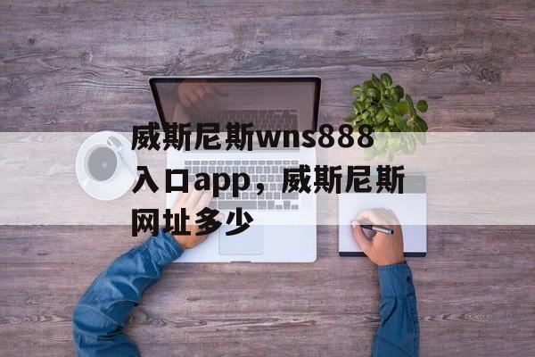 威斯尼斯wns888入口app，威斯尼斯网址多少